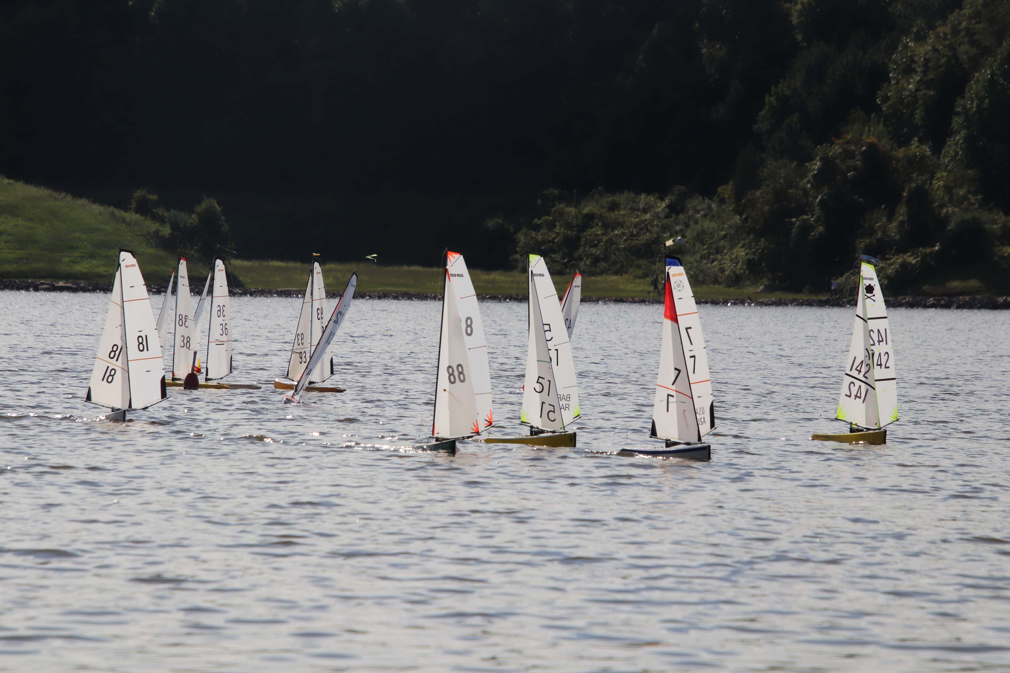 2026 DragonFlite 95 Season - Weekly Races event image