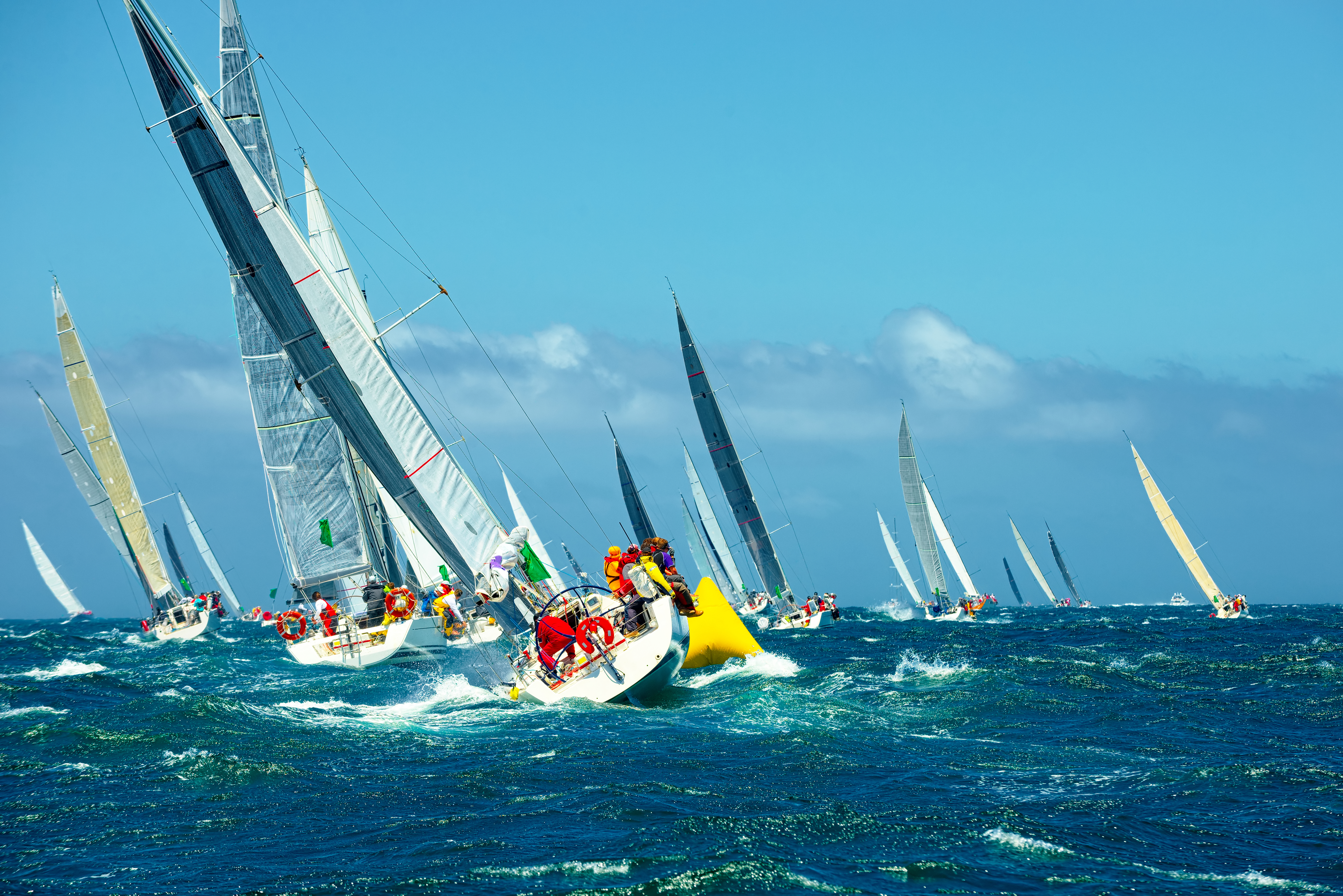 Summer Regatta 2026