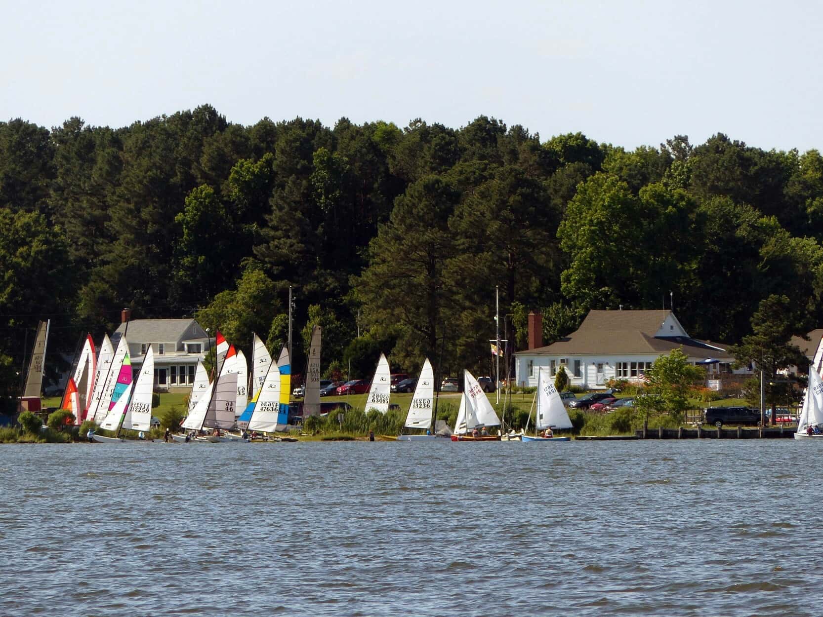 Summer One Design Regatta 2026 event image