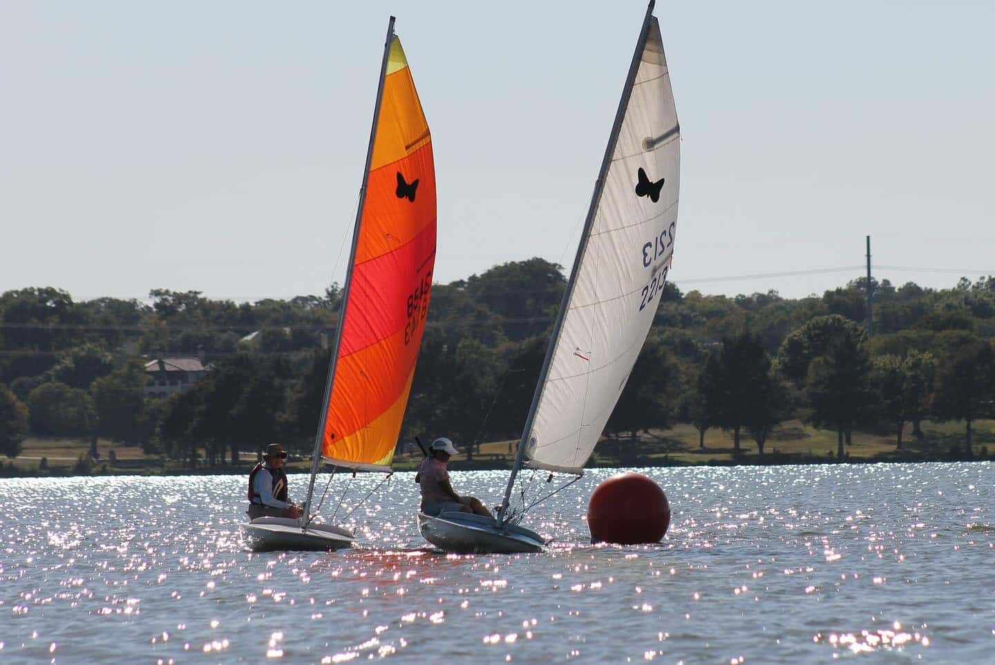 White Rock Wrangle Regatta event image