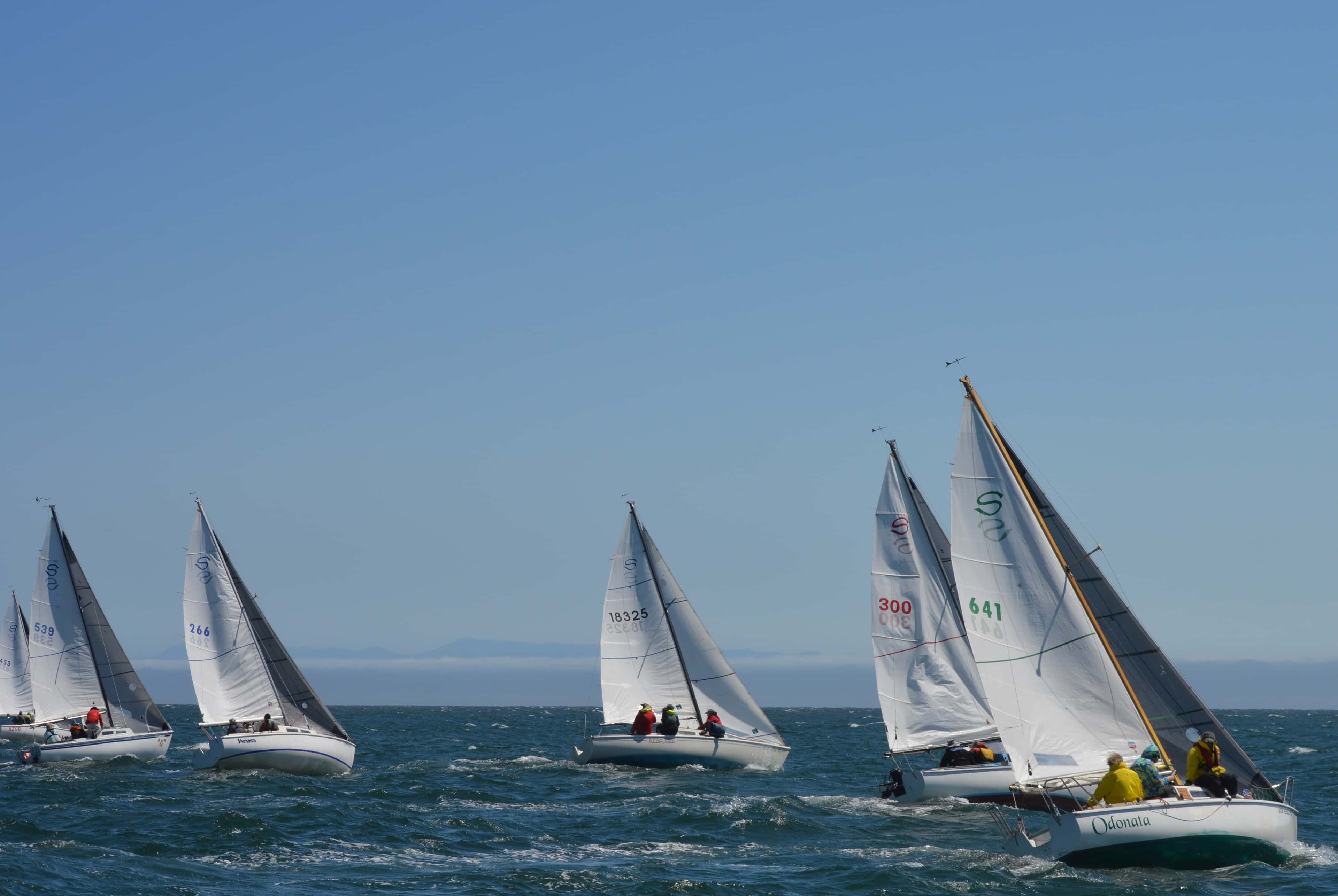 Santana 22 Team Race Invitational event image
