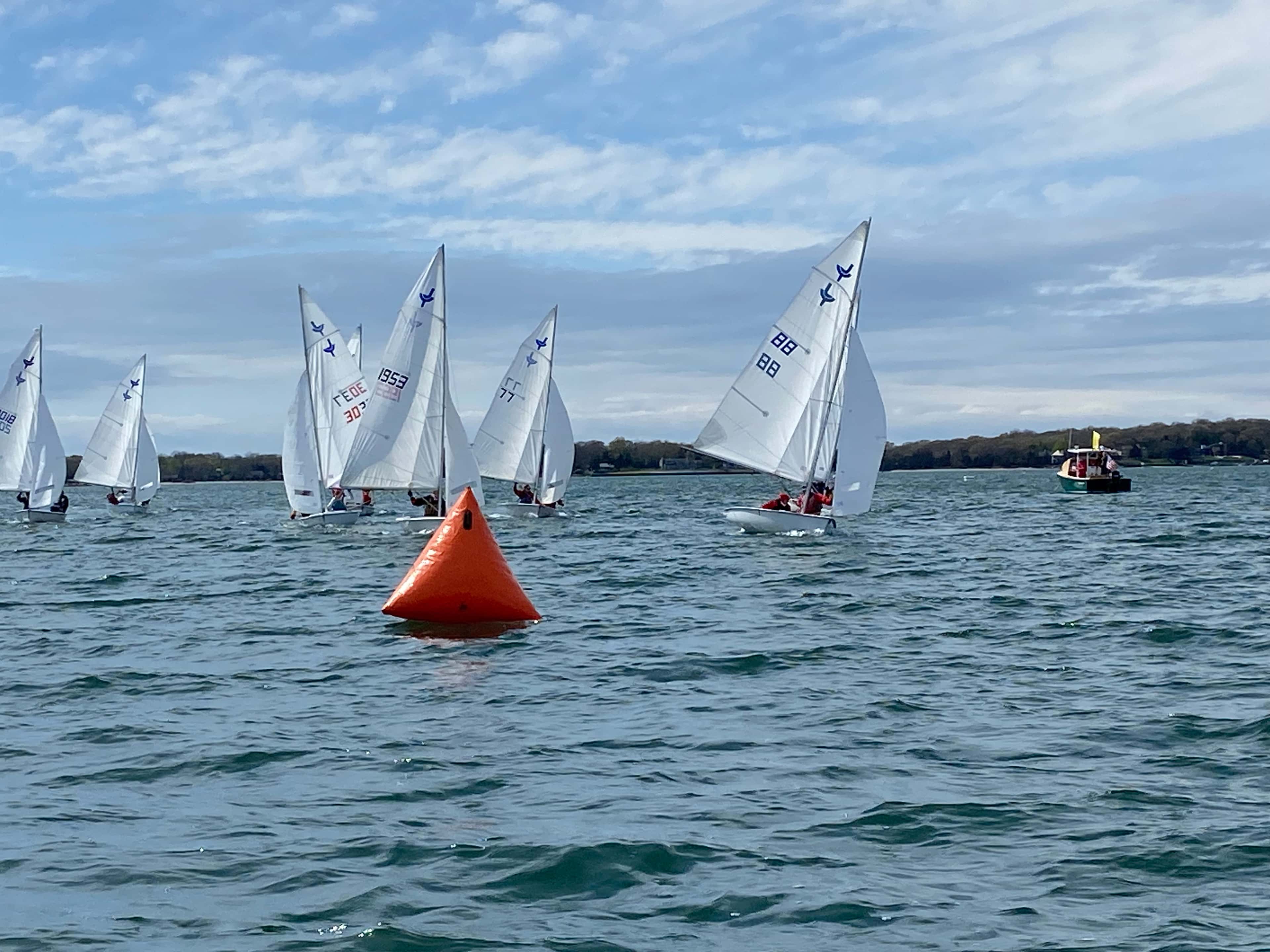 2026 WOOD Regatta event image