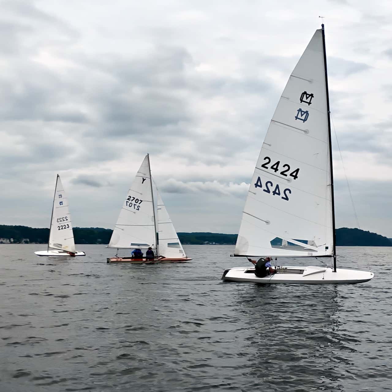  MC / Y-Flyer Thoroughbred Regatta event image