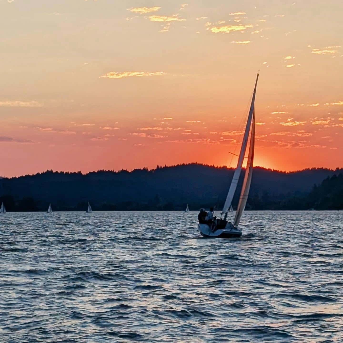 Harvest Day Regatta 2026 event image