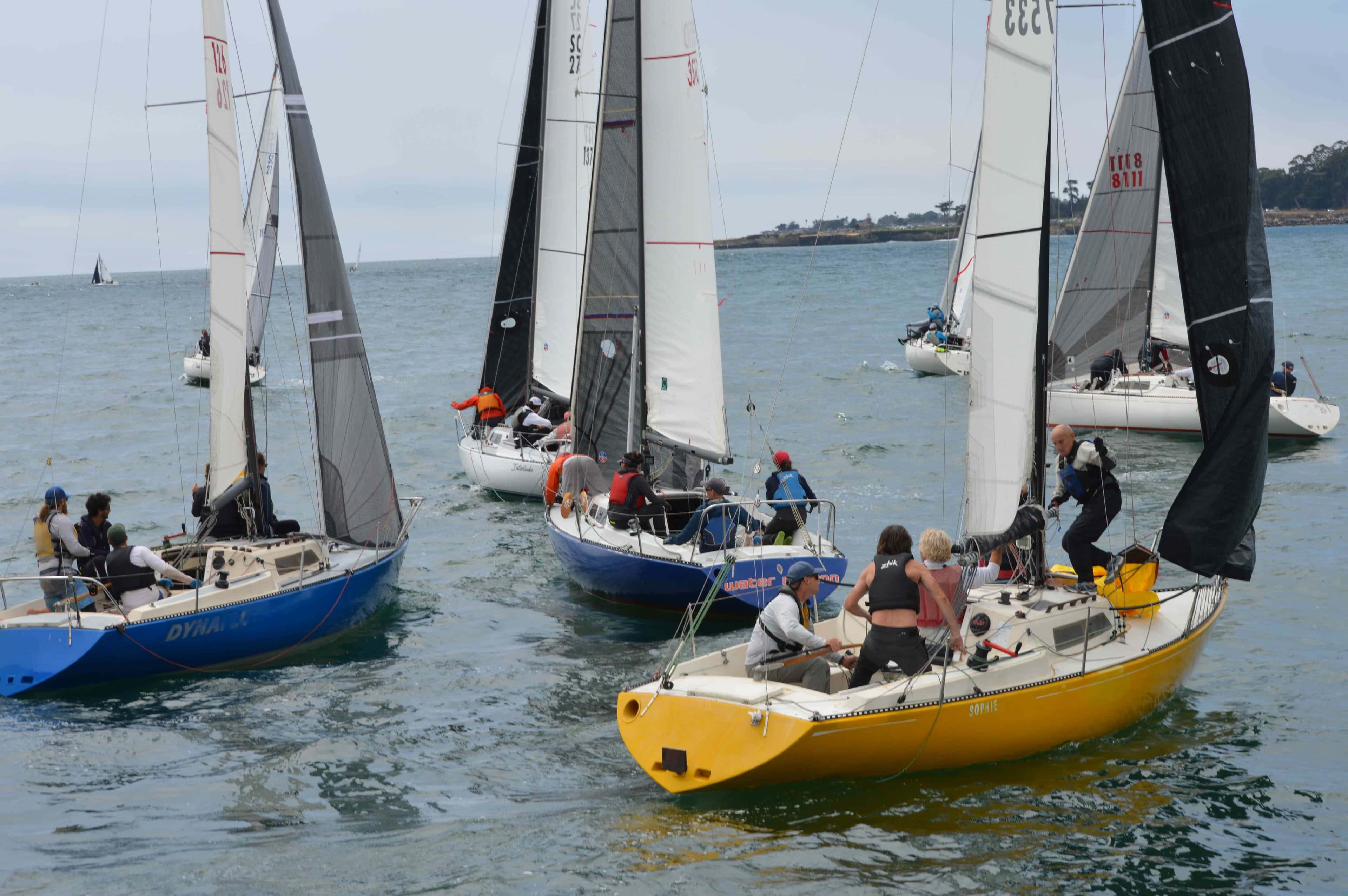 One Design Start Clinic & Race Committee Training event image