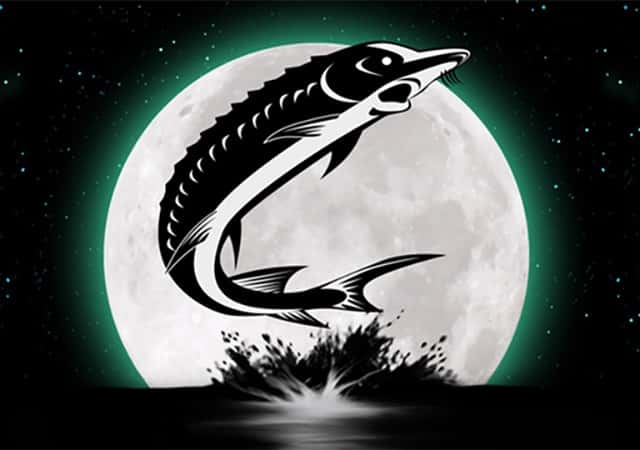 Sturgeon Moon Pursuit Race event image
