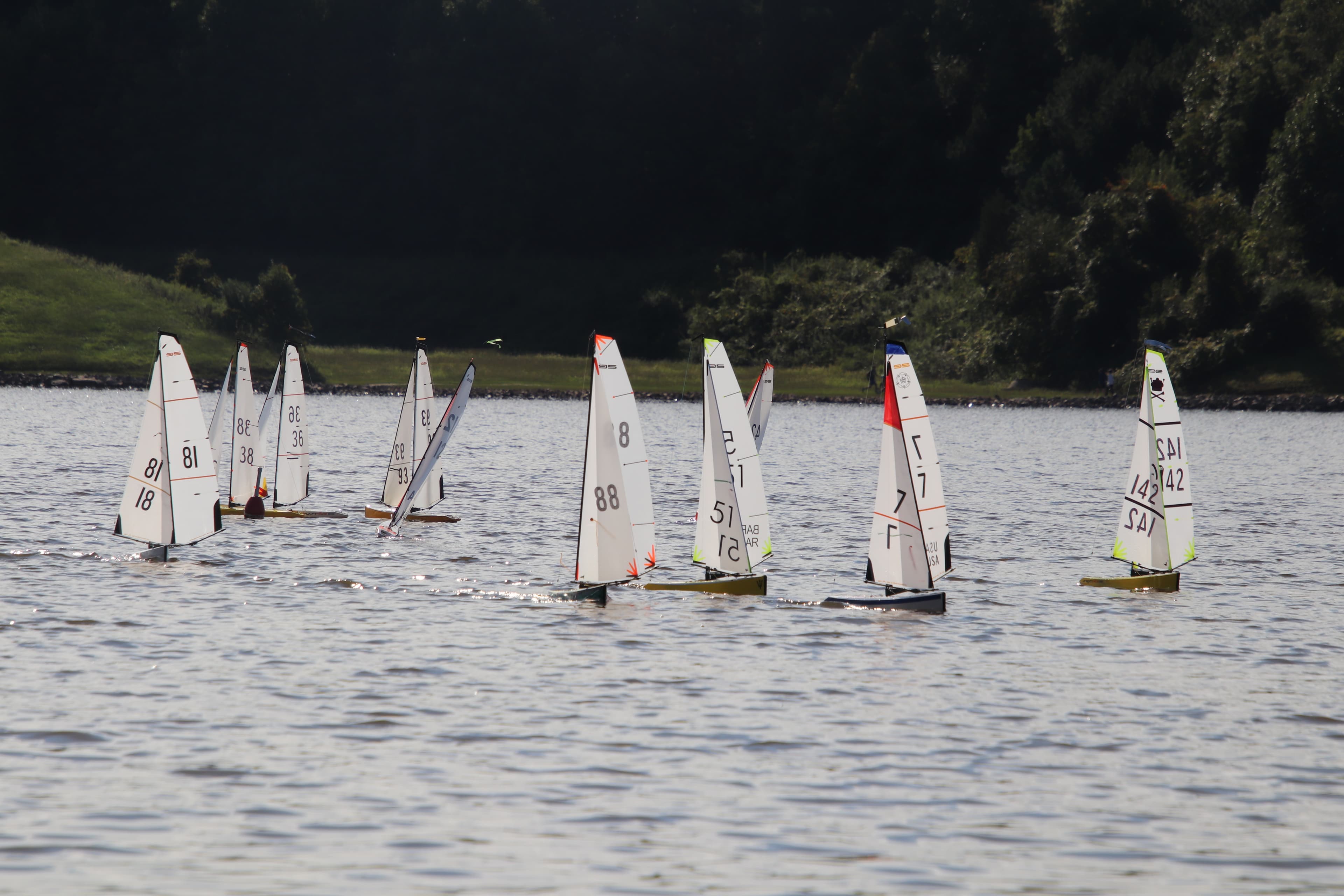 2026 DragonFlite 95 Season - Weekly Races event image