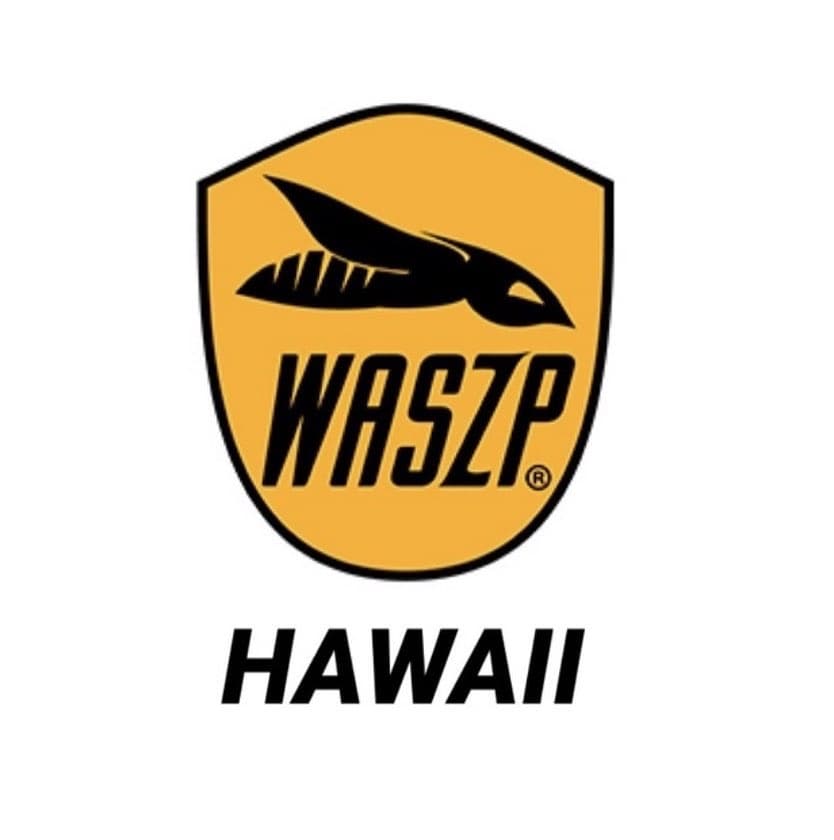2025 WASZP Midwinters event image