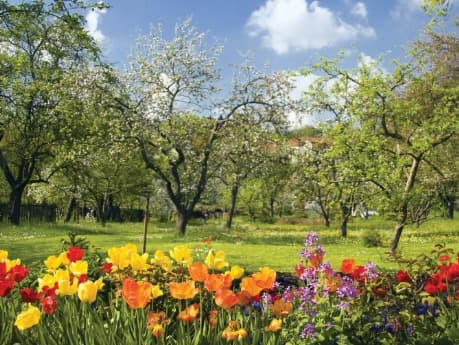 2026 Spring Fling Long Distance Race 