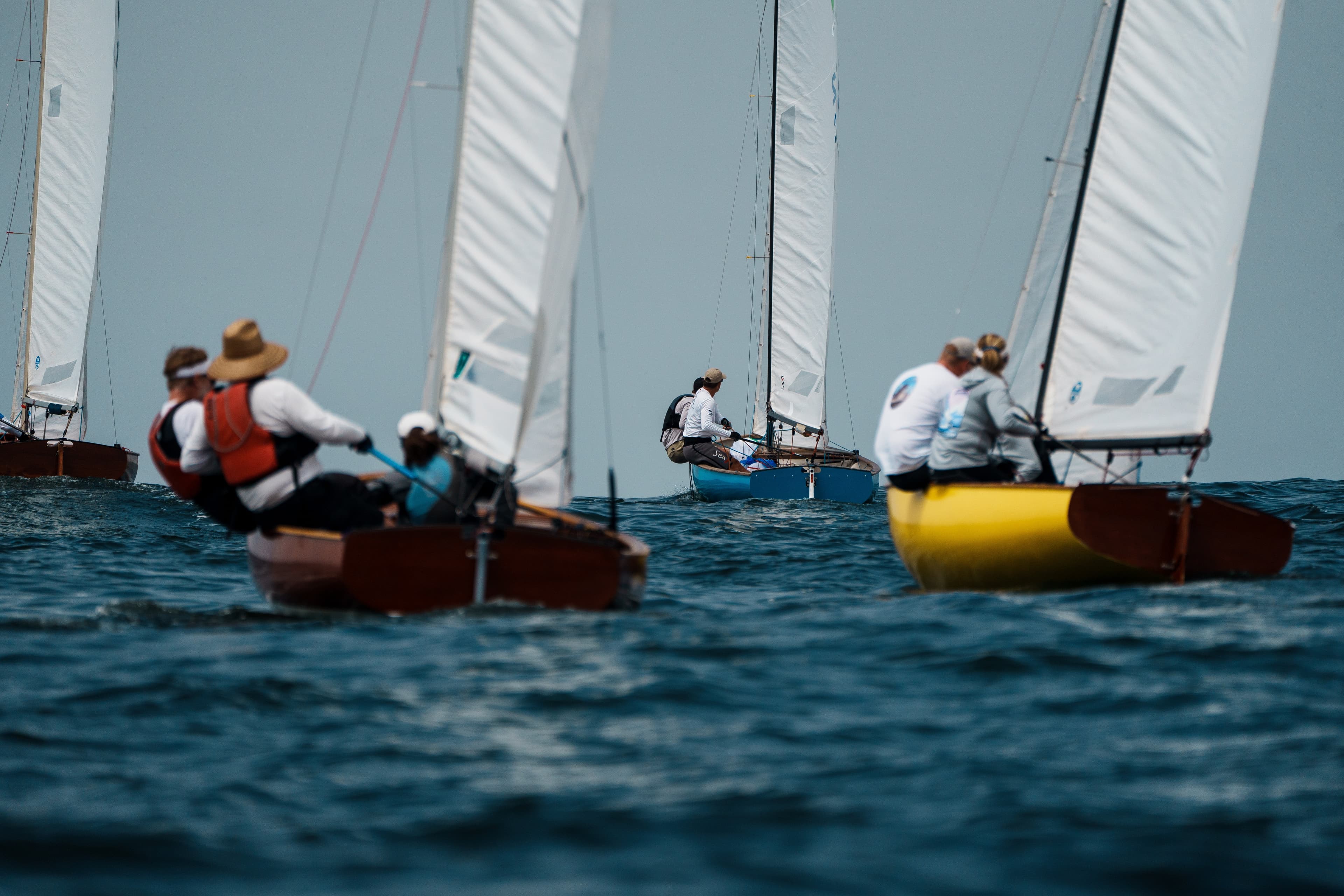 Ventura Thistle Winter Series #3