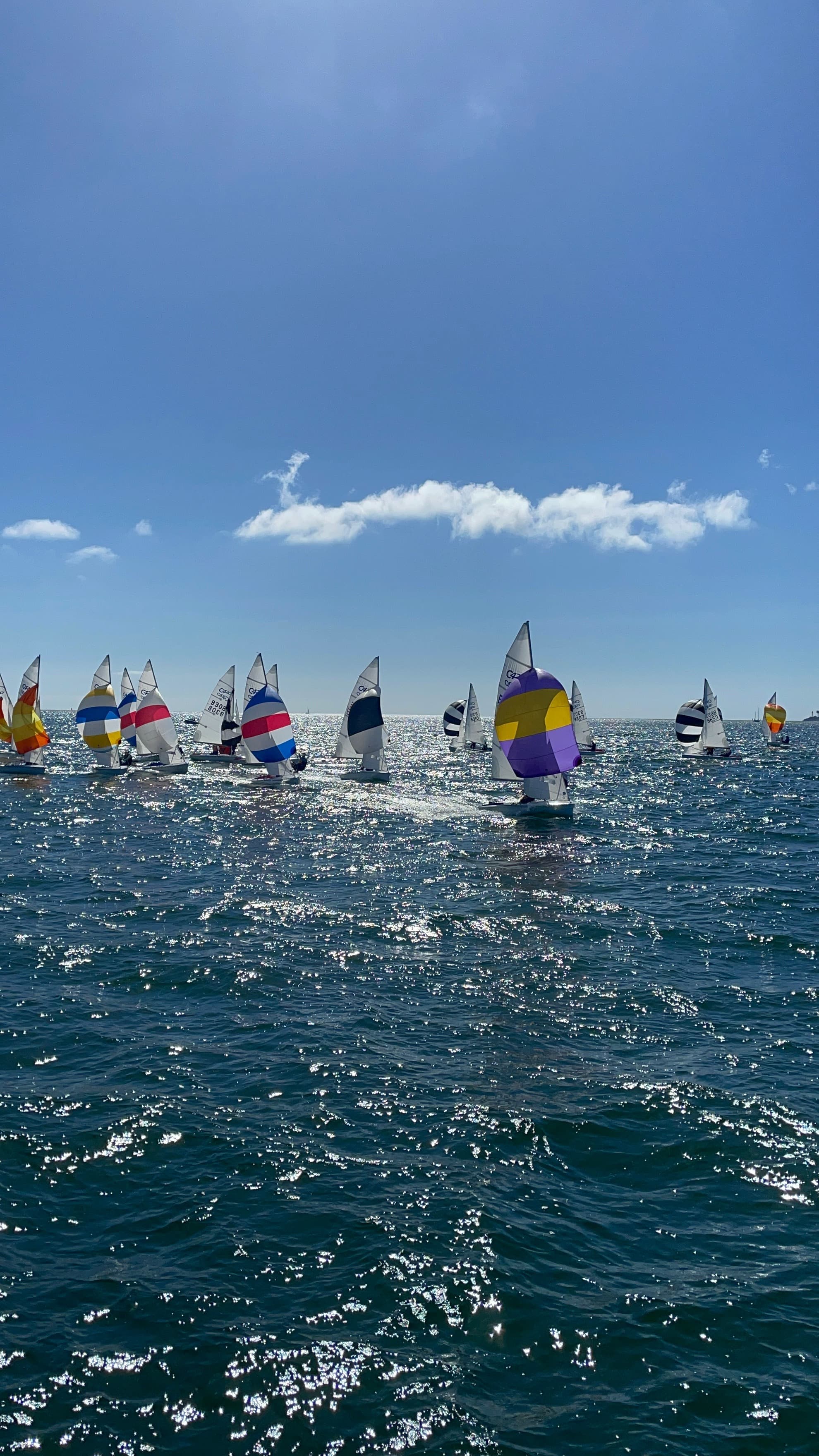 SCYYRA Perry Series #4