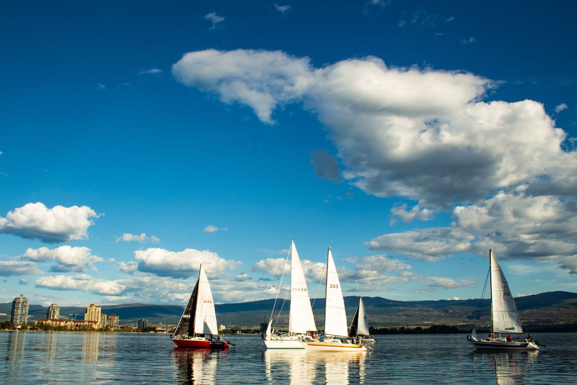 2026 Women's Monday Night Sailing | Registration event image
