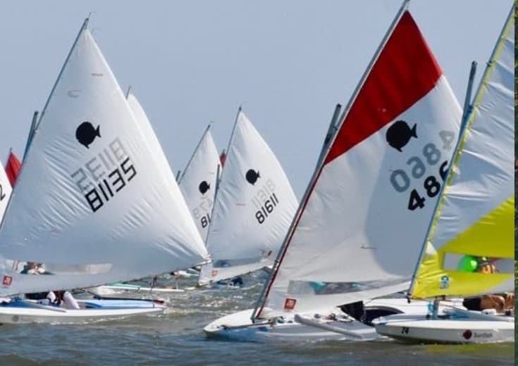 Sunfish Regional Championship