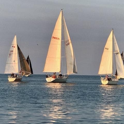 The 2026 Olcott Stomp; Dedicated to Will Harris