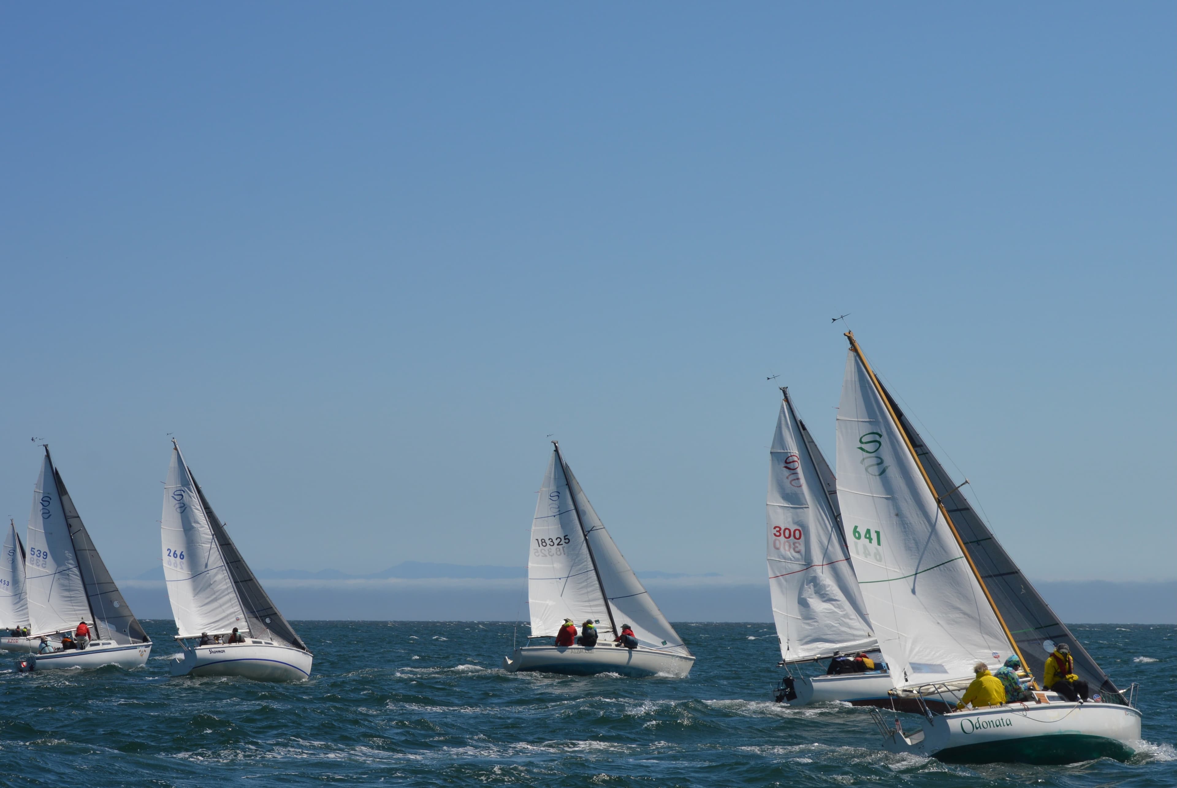 Santana 22 Team Race Invitational event image