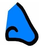 2025 Bluenose Regatta event image