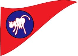 Cow Bay Regatta
