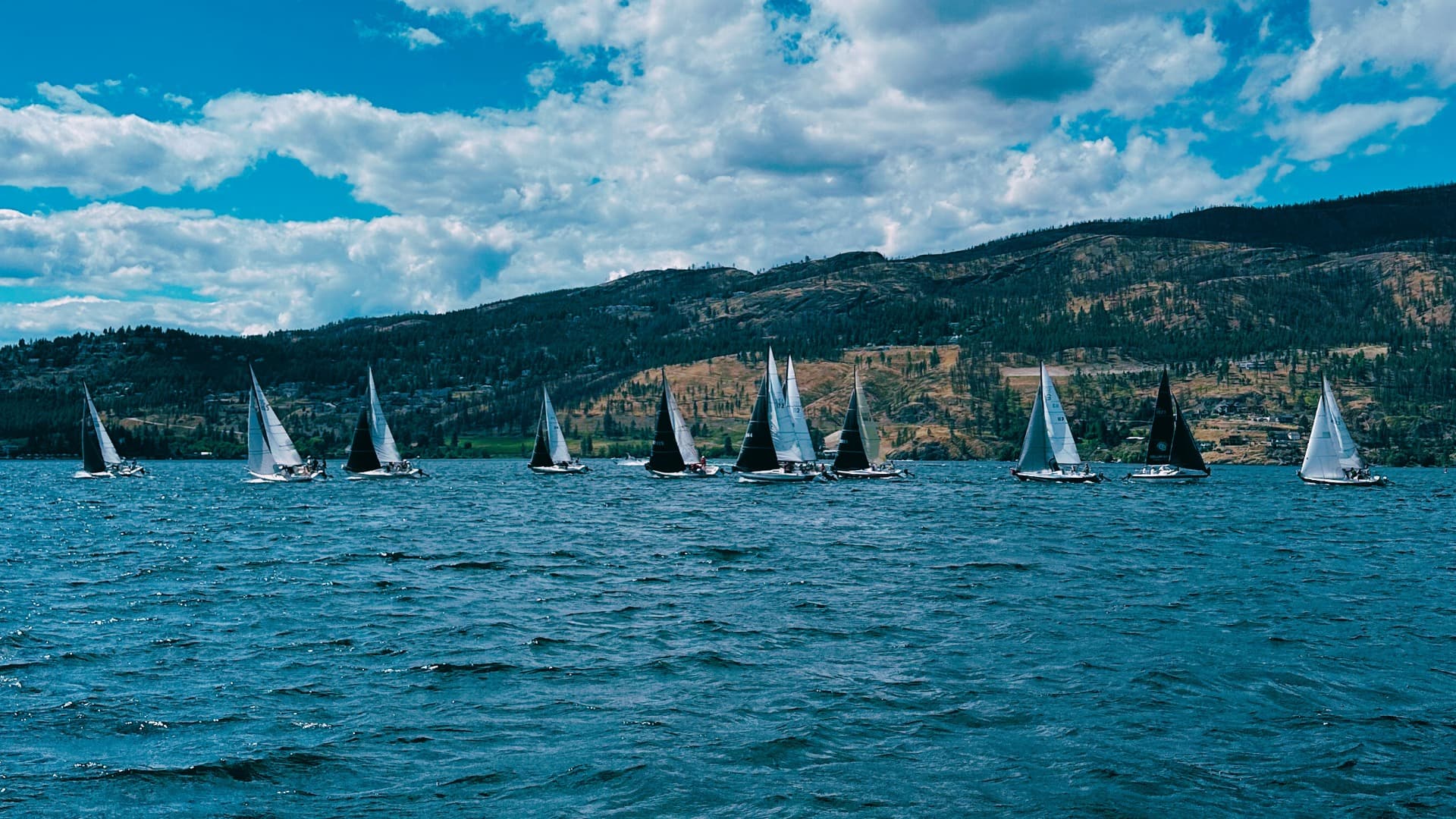 Test 1 (Open Racing Registration)