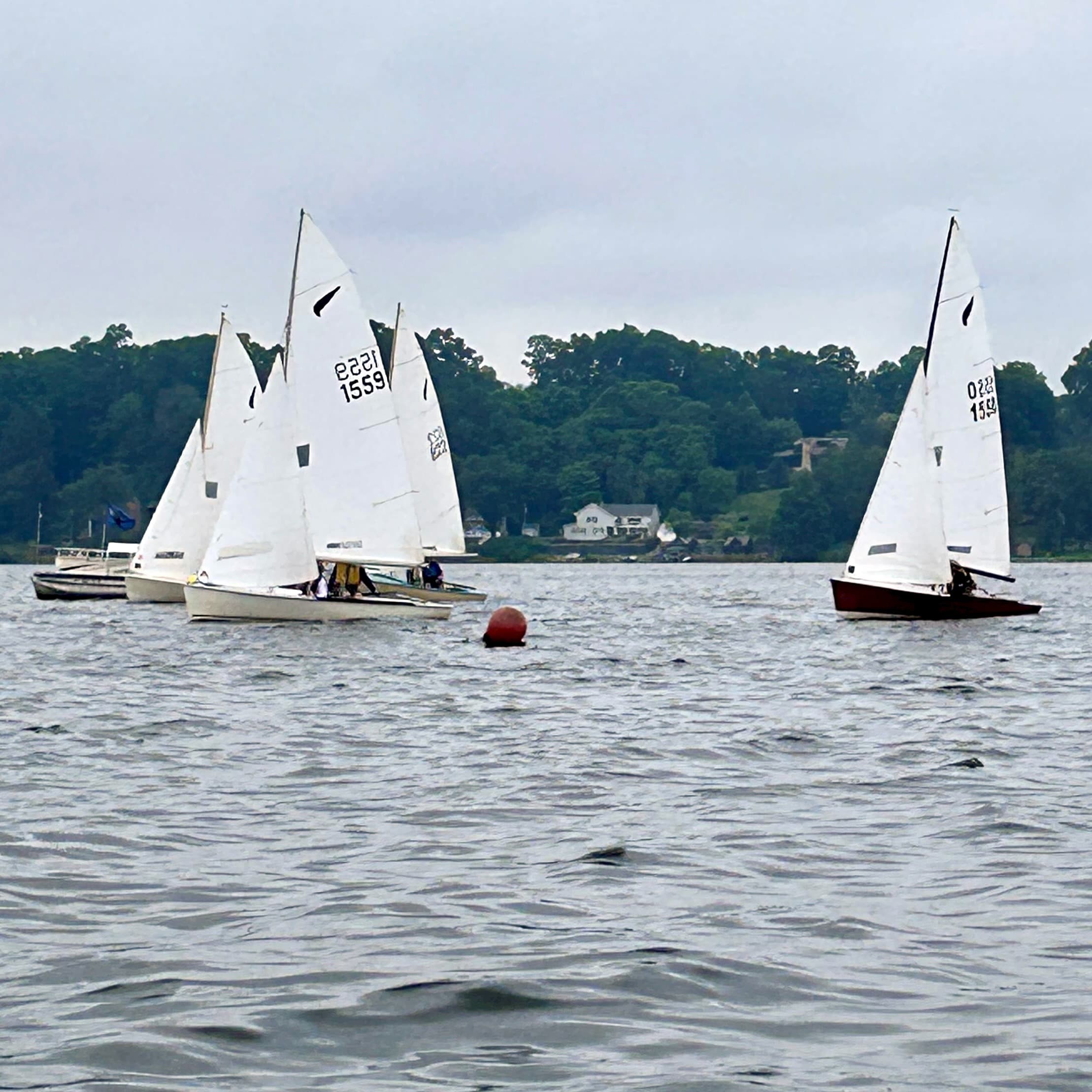 Kestrel Regatta