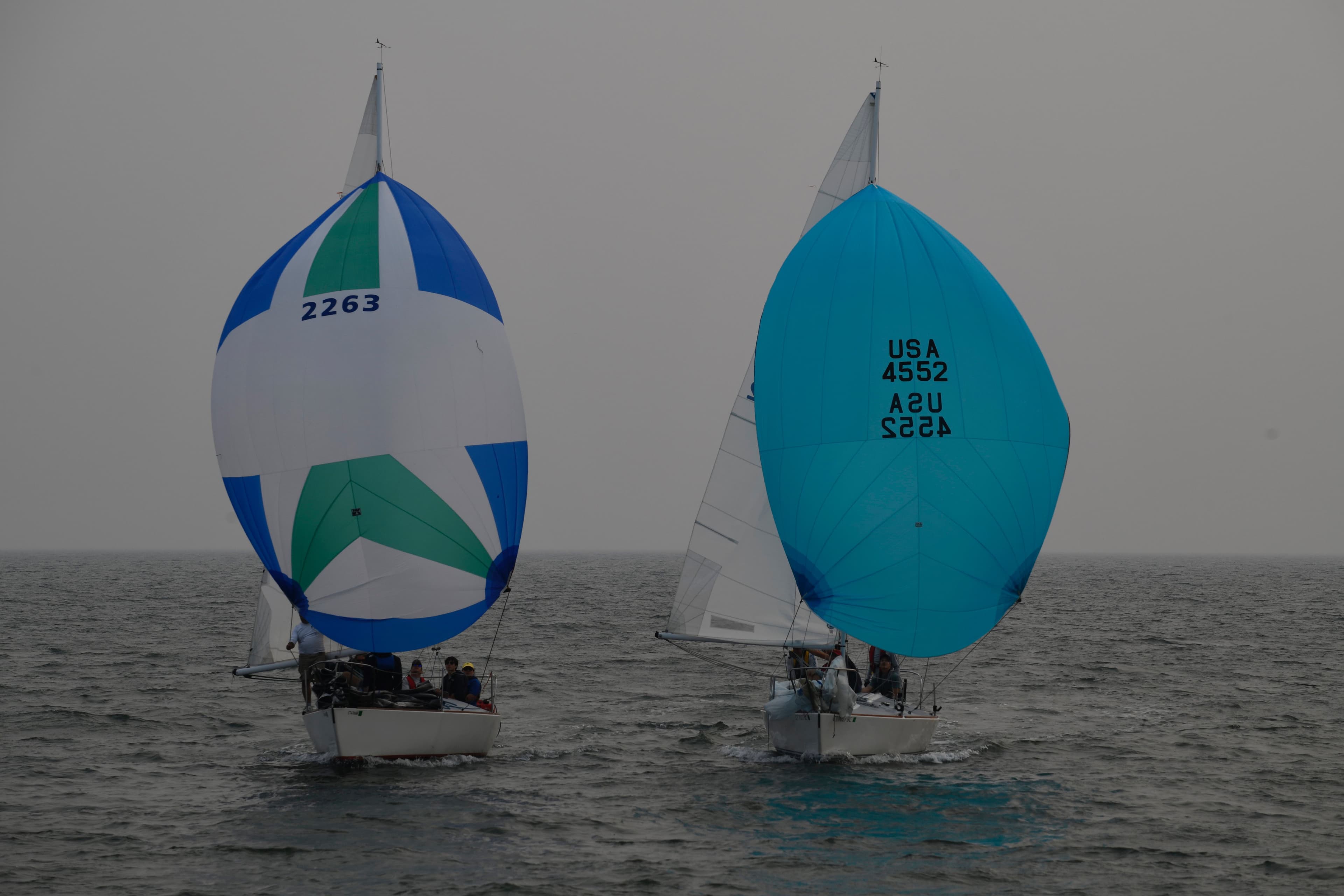 Anne Troy Belle 8 Regatta event image