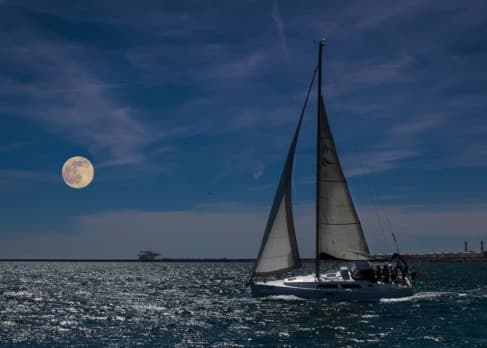 Harvest Moon Pursuit Race