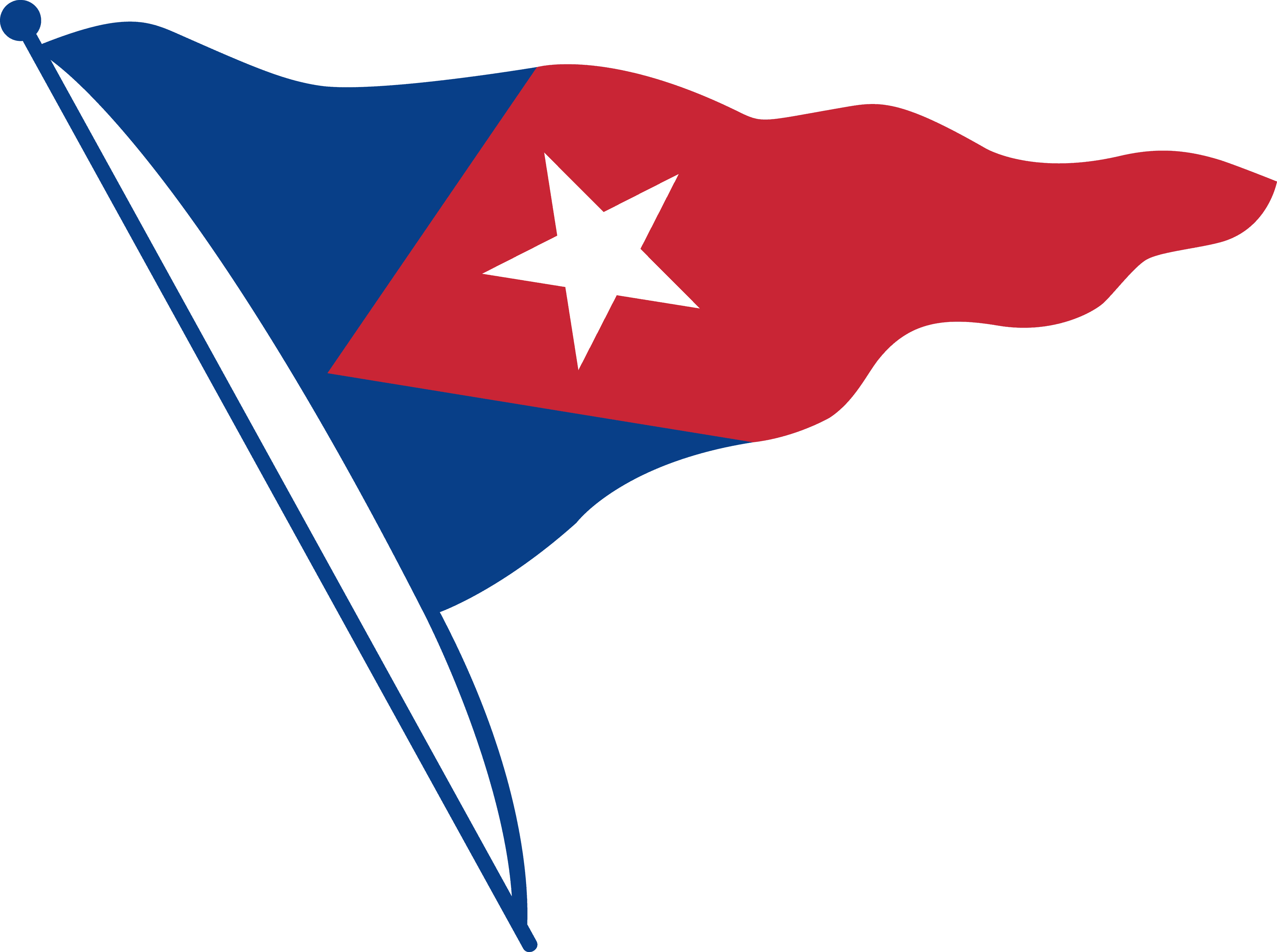 Carolina Yacht Club SC burgee